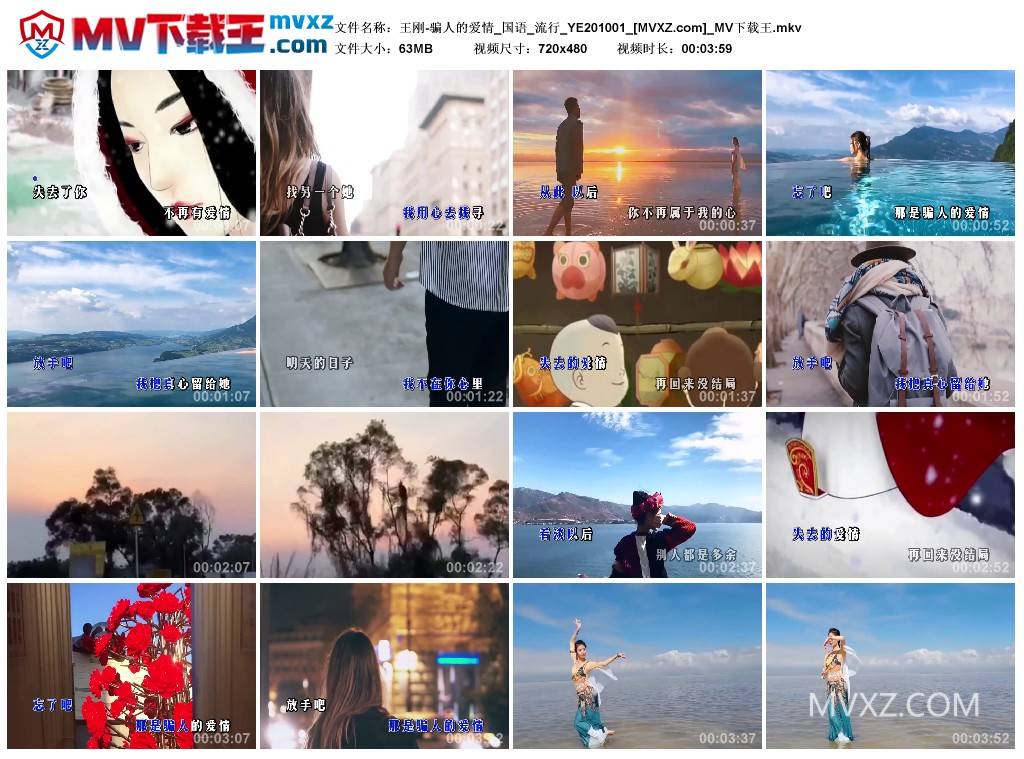 王刚-骗人的爱情_国语_流行_YE201001